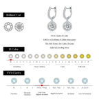 D Color Moissanite Halo Drop Earrings – 925 Sterling Silver