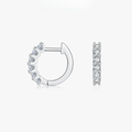 D Color Moissanite Small Hoop Earrings – 925 Sterling Silver